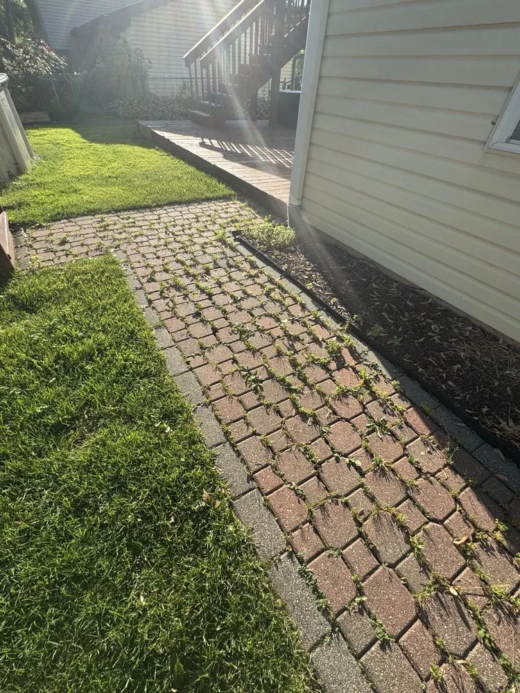 Expert landscape installation for outdoor upgrades in Elgin, IL by Nieves Patios And Lawn Care