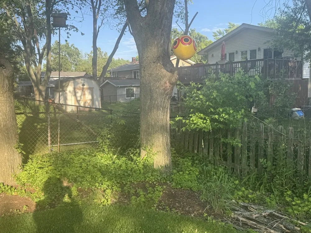 Local residential landscaping experts serving Elgin, IL - Nieves Patios And Lawn Care