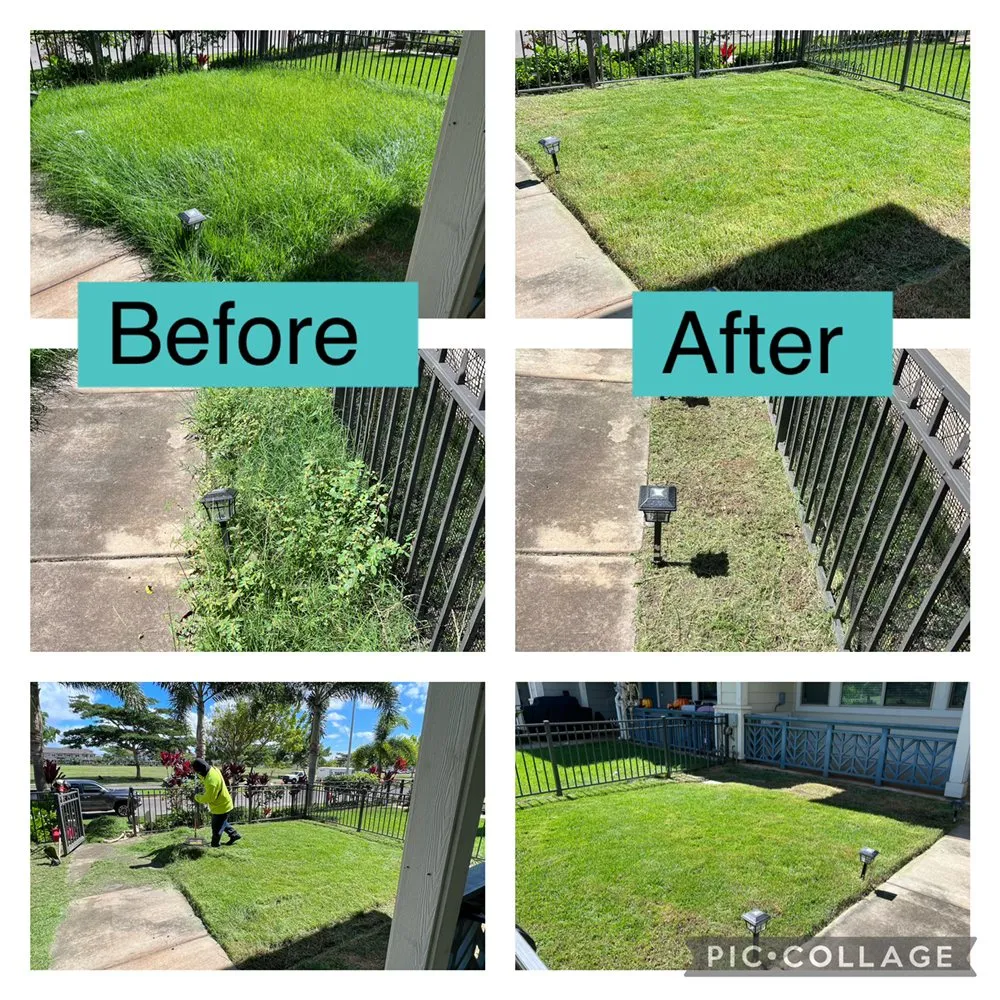 Top-rated lawn care service in Ewa Beach, HI by Nifty Lawns