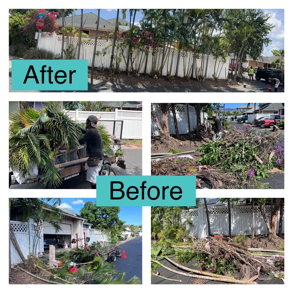 Affordable lawn care service experts serving Ewa Beach, HI - Nifty Lawns