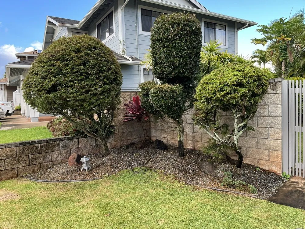 Reliable yard cleanup service for residential properties in Ewa Beach, HI by Nifty Lawns