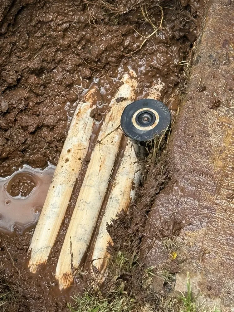 Professional landscape design experts serving Ewa Beach, HI - Nifty Lawns