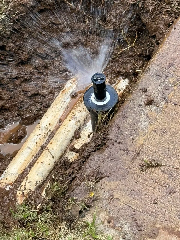 Trusted garden landscaping in Ewa Beach, HI by Nifty Lawns