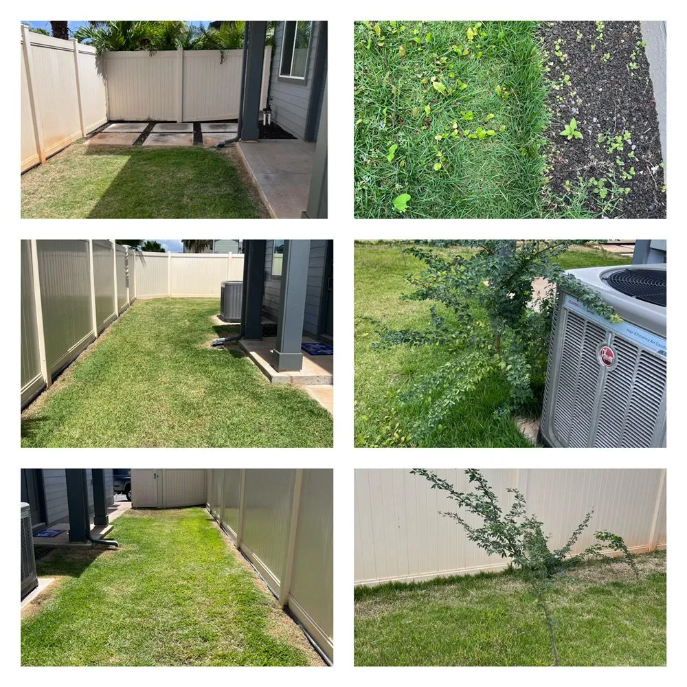 Local landscape design in Ewa Beach, HI - Nifty Lawns