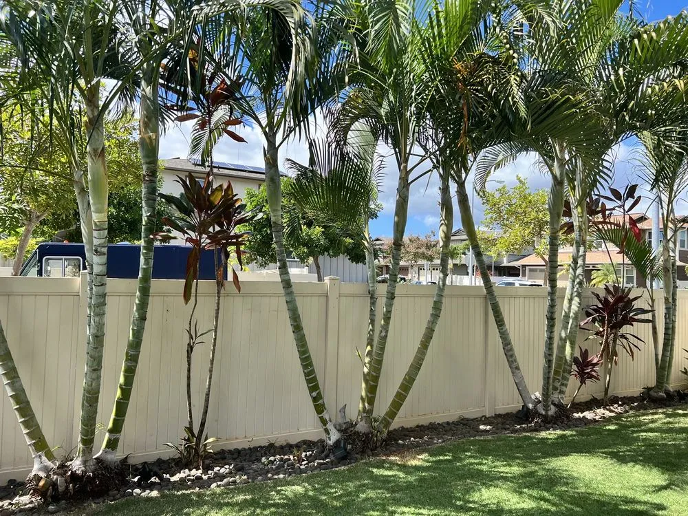 Trusted yard cleanup service for year-round maintenance across Ewa Beach, HI - Nifty Lawns
