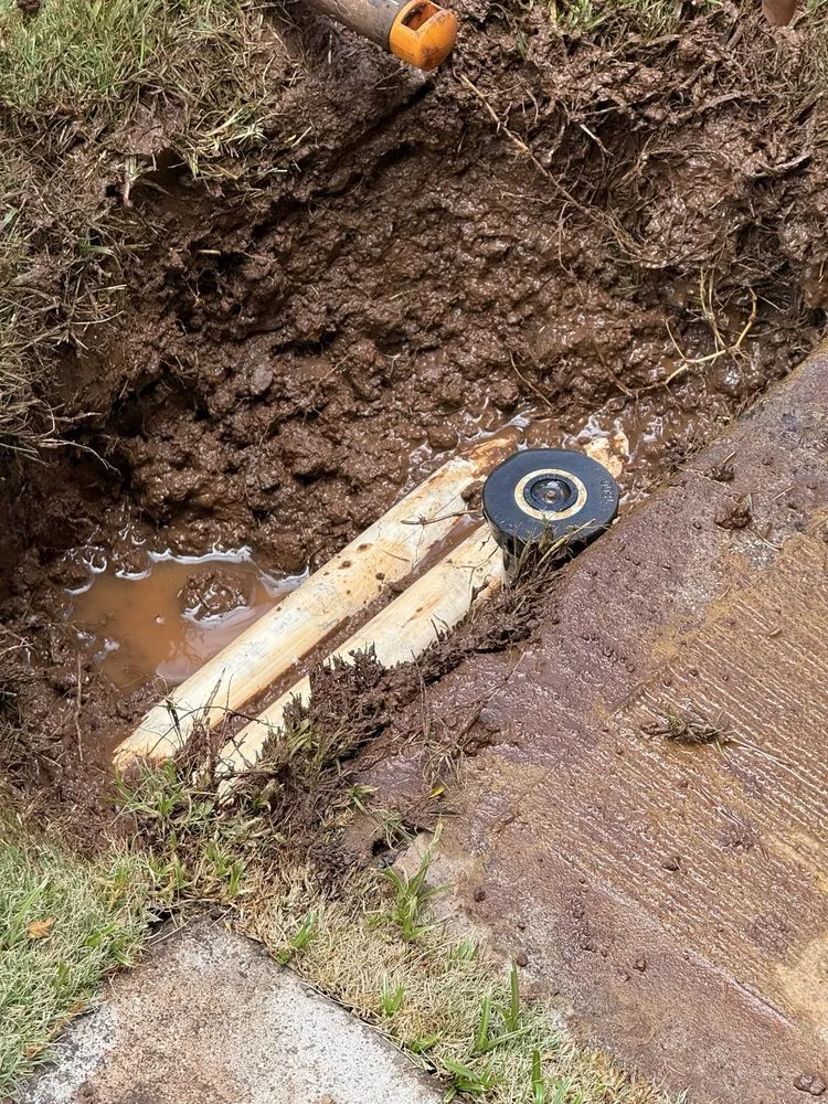 Local landscaping services experts serving Ewa Beach, HI - Nifty Lawns