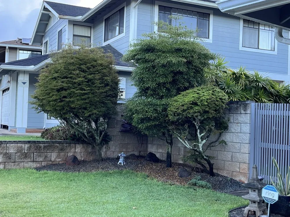 Reliable yard cleanup service in Ewa Beach, HI by Nifty Lawns