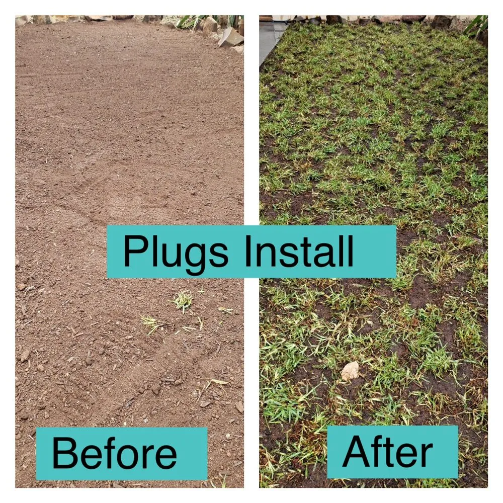 Top-rated outdoor landscaping experts serving Ewa Beach, HI - Nifty Lawns