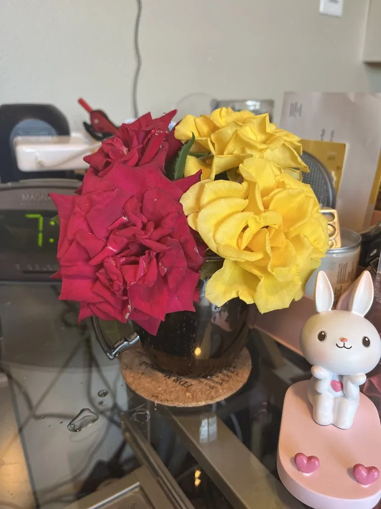 Affordable lawn mowing service experts serving Ewa Beach, HI - Nifty Lawns