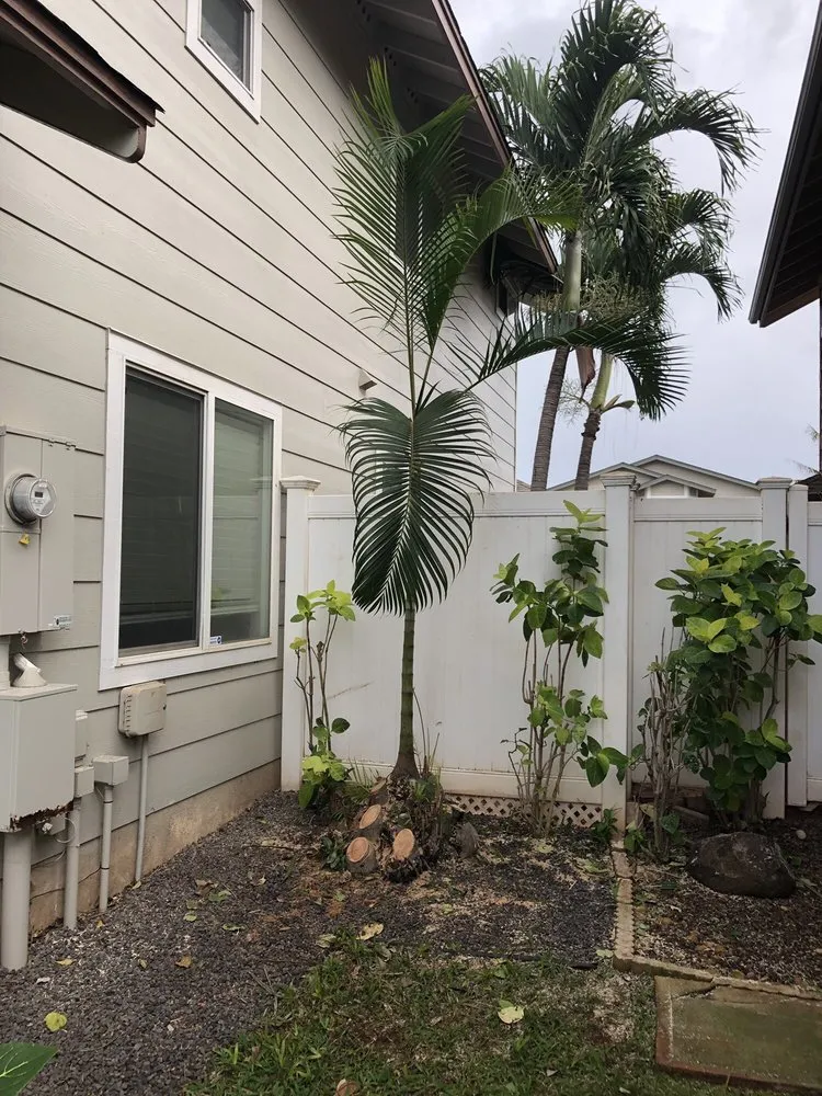 Professional landscape design for beautiful yards in Ewa Beach, HI by Nifty Lawns