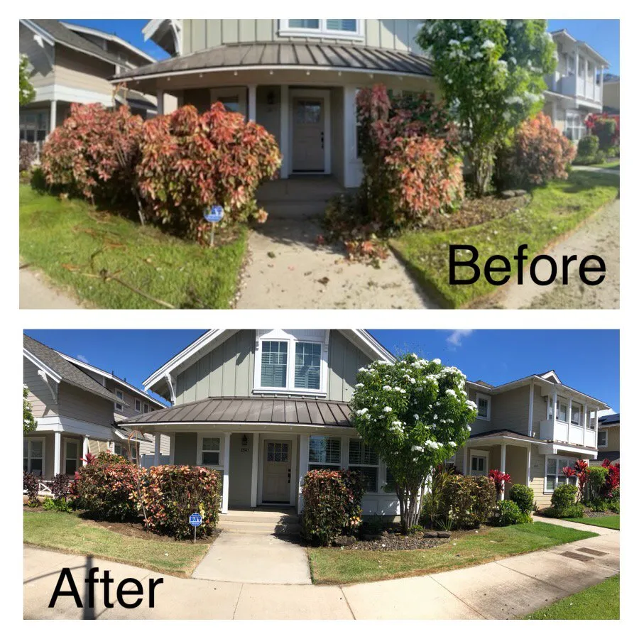 Reliable landscape installation in Ewa Beach, HI by Nifty Lawns