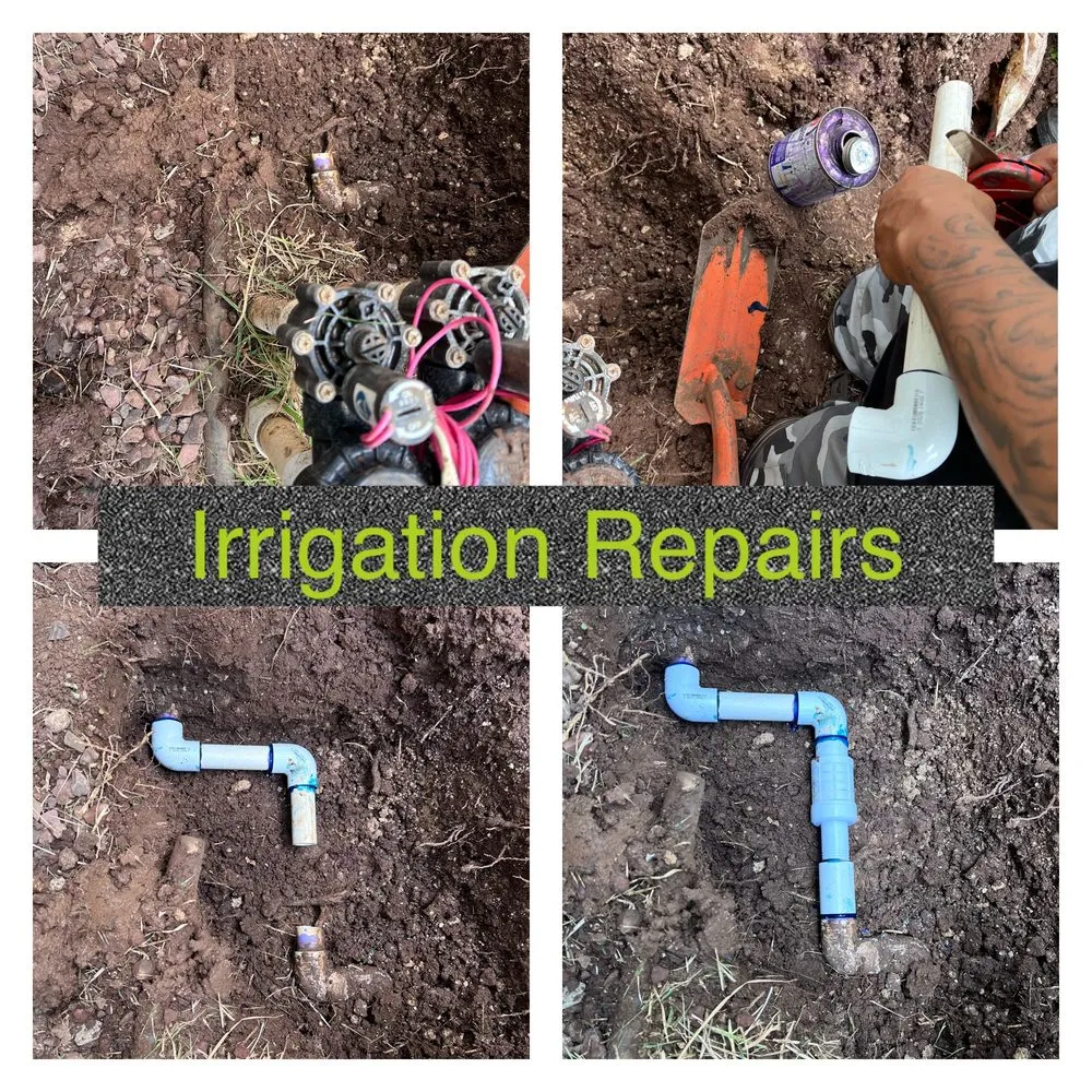 Reliable garden landscaping in Ewa Beach, HI by Nifty Lawns