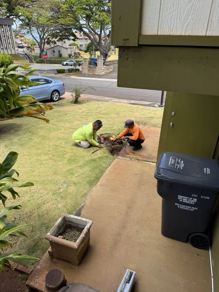 Expert lawn mowing service in Ewa Beach, HI by Nifty Lawns