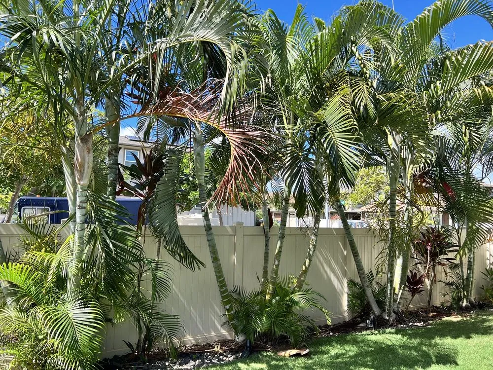 Reliable yard cleanup service for beautiful yards in Ewa Beach, HI by Nifty Lawns