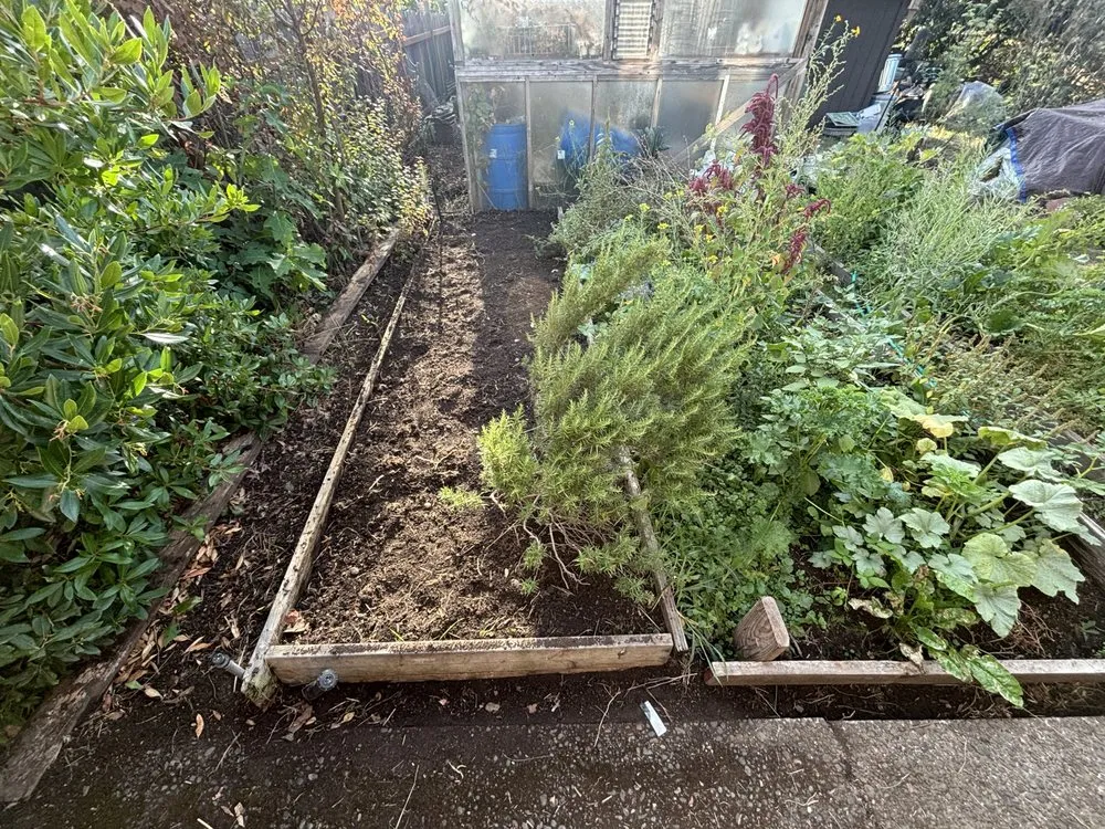 Expert lawn care service for outdoor upgrades in Eugene, OR by Nigel’s Family Lawncare