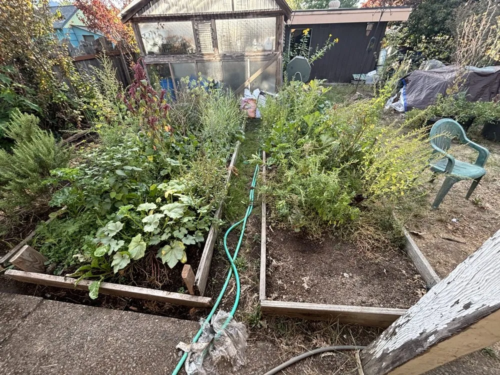 Affordable yard maintenance for residential properties in Eugene, OR by Nigel’s Family Lawncare