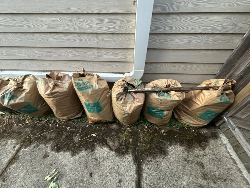 Affordable yard cleanup service for year-round maintenance in Eugene, OR by Nigel’s Family Lawncare