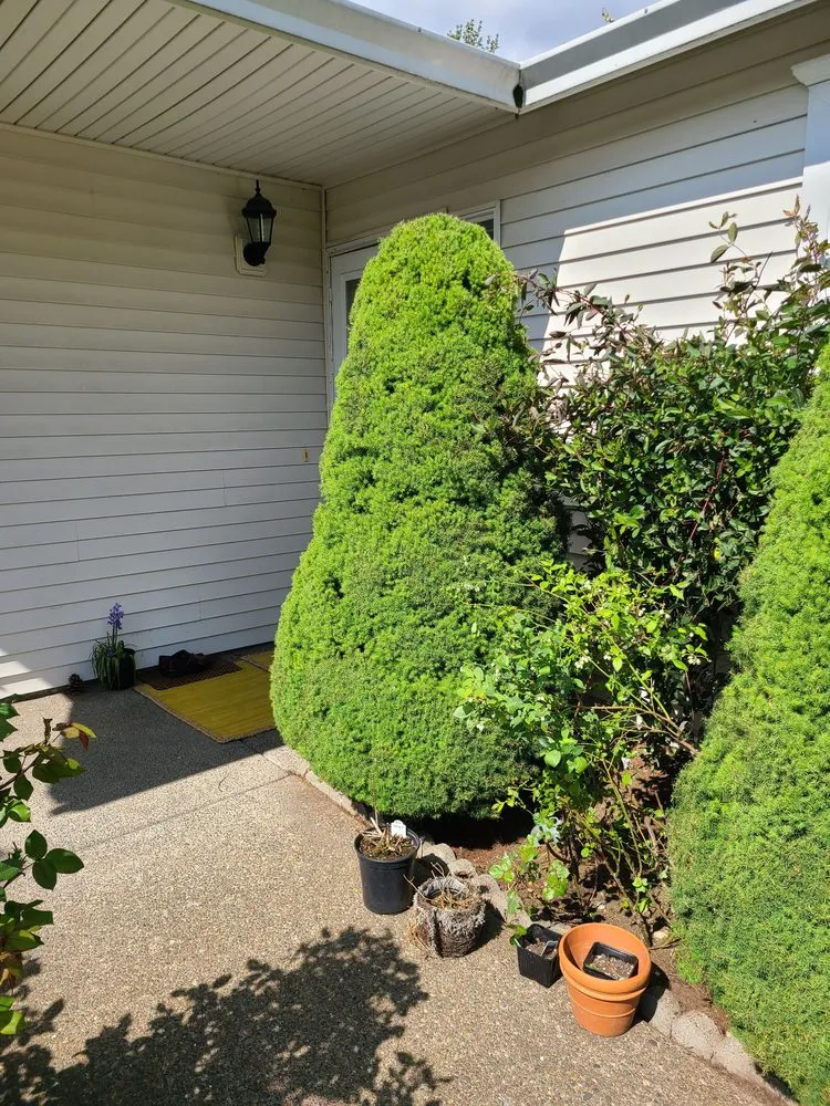 Expert residential landscaping with custom design across Gresham, OR - Nigels Landscaping Plus