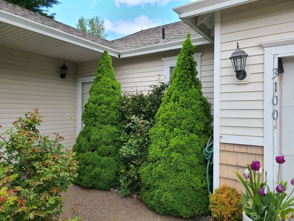 Reliable garden landscaping in Gresham, OR - Nigels Landscaping Plus