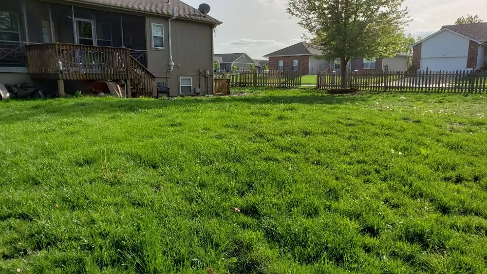 Local landscaping services in Kearney, MO - Nighs Cutting Edge Lawn Maintenance