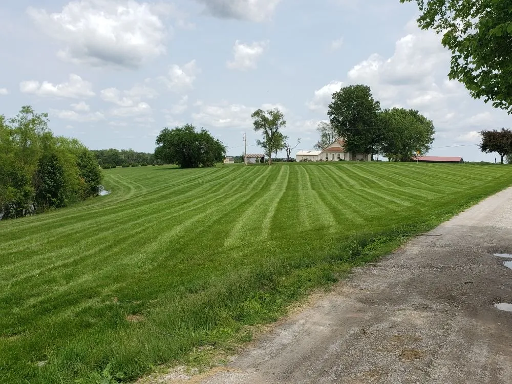 Local yard maintenance for outdoor upgrades in Kearney, MO by Nighs Cutting Edge Lawn Maintenance