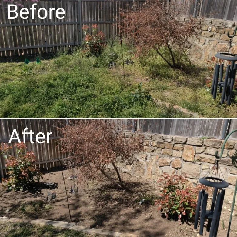 Local yard cleanup service for homes in Justin, TX by Nighthawk Lawn & Landscape