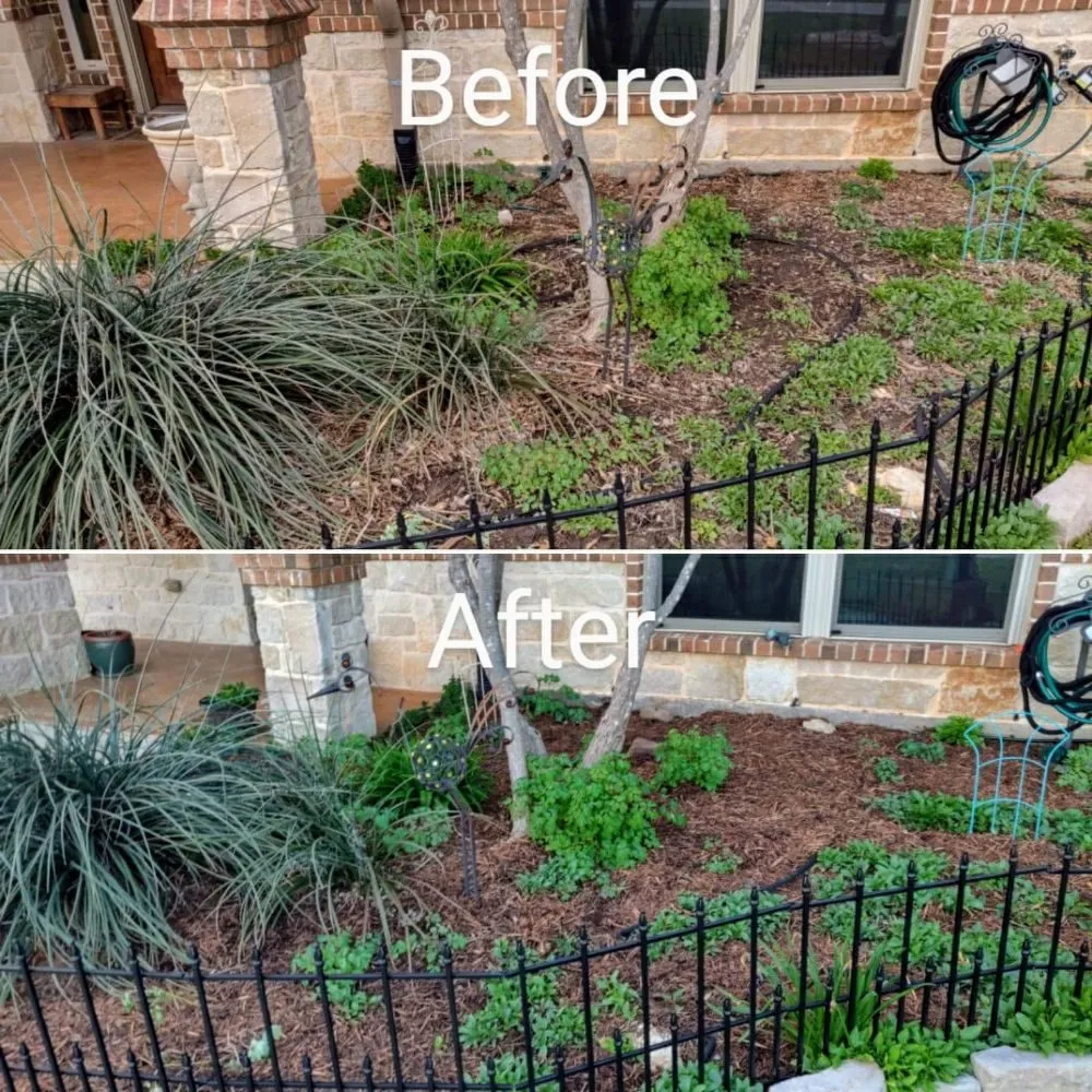 Professional yard maintenance experts serving Justin, TX - Nighthawk Lawn & Landscape
