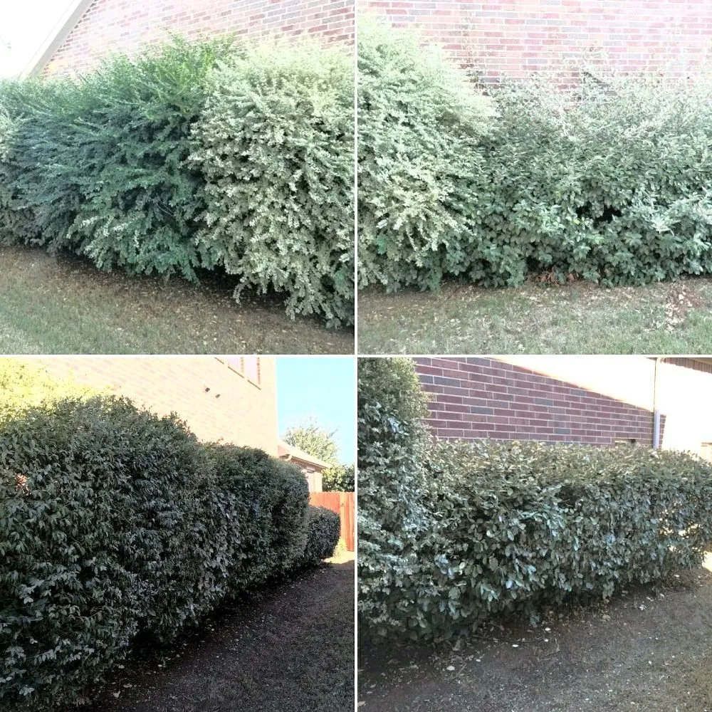 Custom lawn mowing service for beautiful yards in Justin, TX by Nighthawk Lawn & Landscape