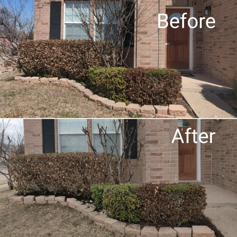 Local yard cleanup service in Justin, TX - Nighthawk Lawn & Landscape
