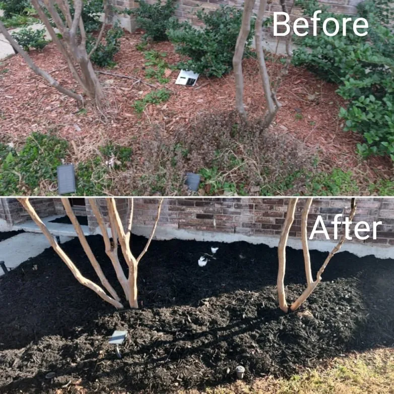 Local yard cleanup service experts serving Justin, TX - Nighthawk Lawn & Landscape