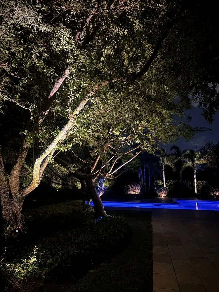 Affordable yard cleanup service experts serving Wellington, FL - Nightlight Pros