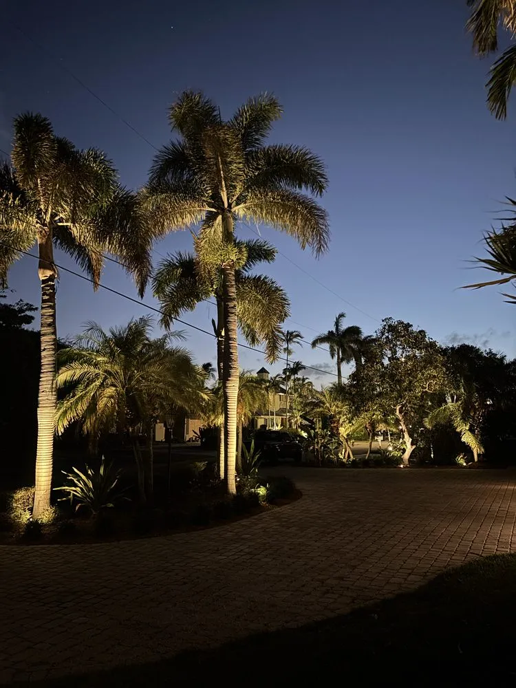 Trusted yard cleanup service in Wellington, FL by Nightlight Pros