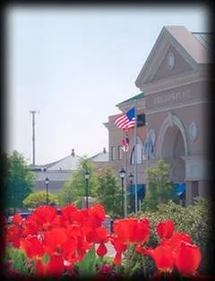 Expert residential landscaping for beautiful yards across Huntersville, NC - Nightscapes Landscape, Lighting & Design