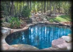 Expert yard cleanup service in Huntersville, NC - Nightscapes Landscape, Lighting & Design