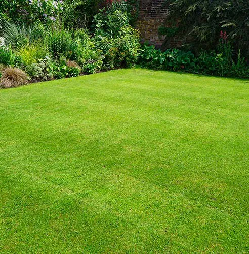 Custom lawn mowing service for beautiful yards across Winter Haven, FL - Nih Lawn Care