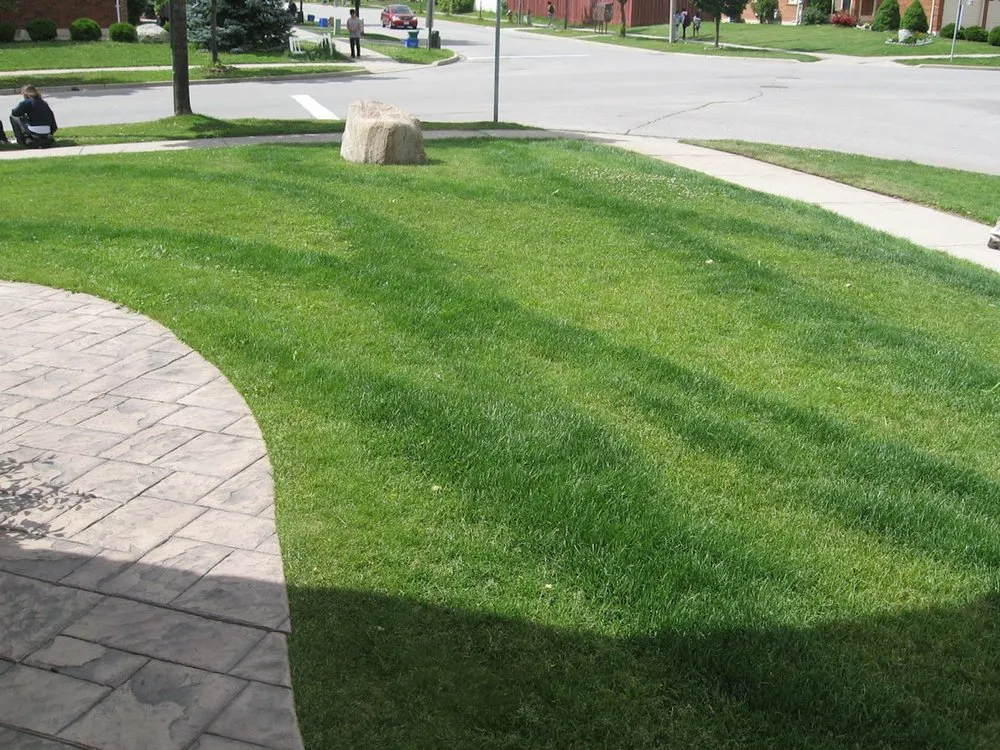 Professional residential landscaping experts serving Winter Haven, FL - Nih Lawn Care