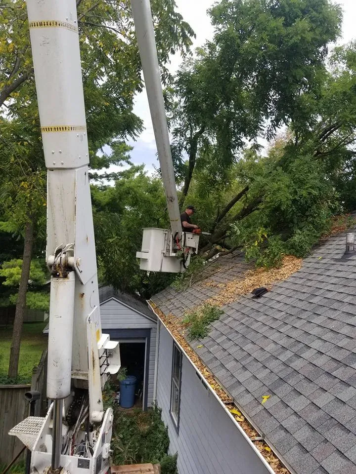 Expert landscape design for homes in Lancaster, WI by Nihles Tree Service