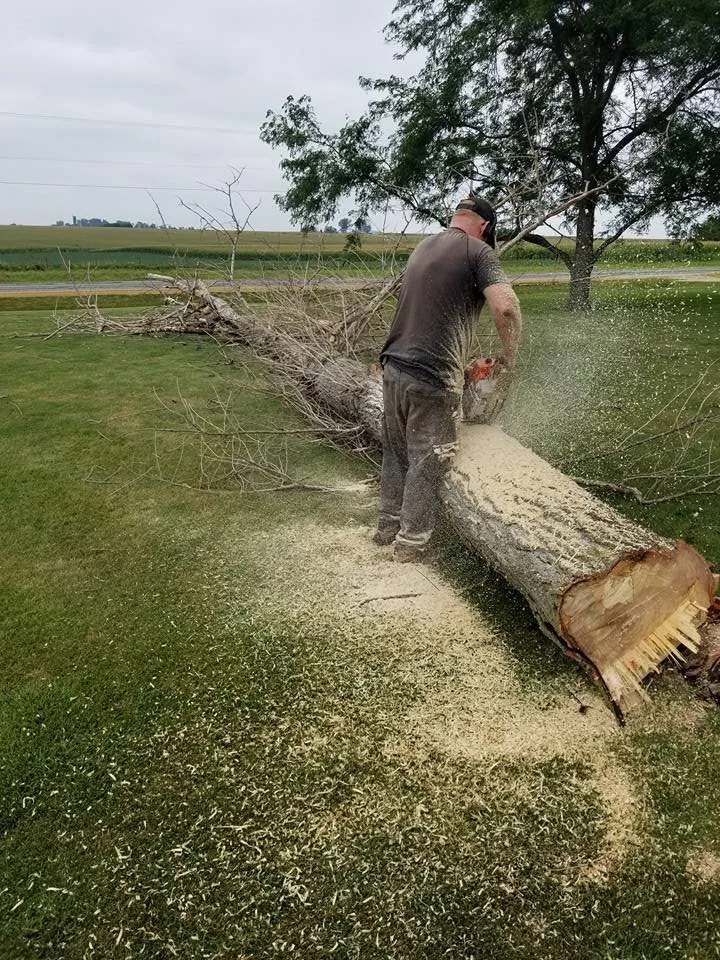 Custom yard cleanup service in Lancaster, WI - Nihles Tree Service
