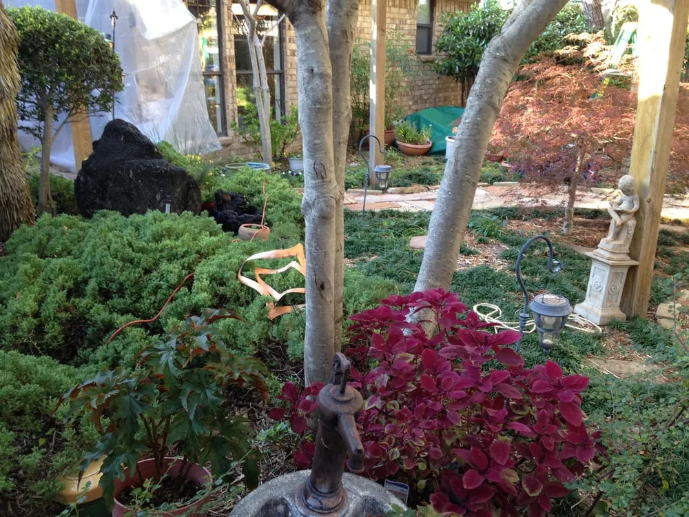 Affordable yard cleanup service for homes in Dallas, TX by Nik Tree Landscape Irrigation