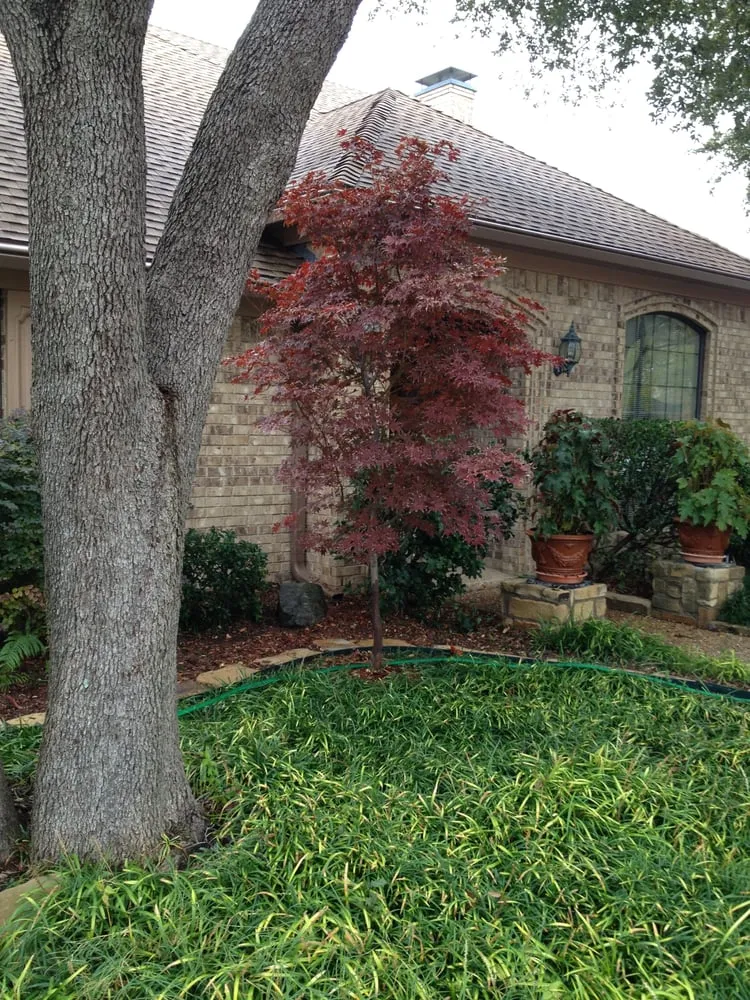 Local landscaping services experts serving Dallas, TX - Nik Tree Landscape Irrigation