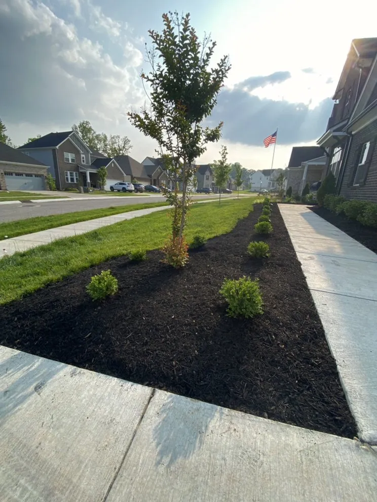 Affordable yard maintenance for beautiful yards in Cottontown, TN by Nikazy Mowing and Lawn care