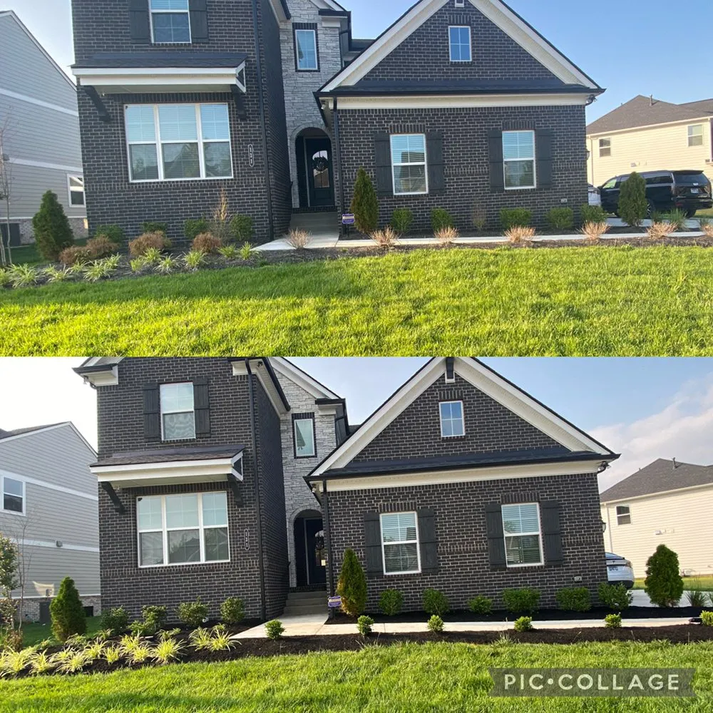 Top-rated yard cleanup service experts serving Cottontown, TN - Nikazy Mowing and Lawn care