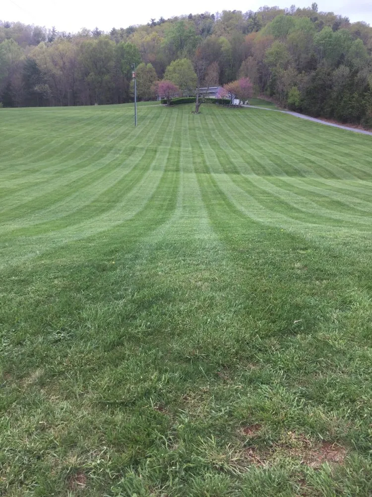 Top-rated yard cleanup service in Elkton, VA - Nikkel Lawn Care
