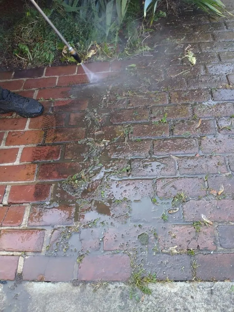 Top-rated yard maintenance in Hopkinsville, KY by Nikki's Neat and Tidy Homes and Home Improvement