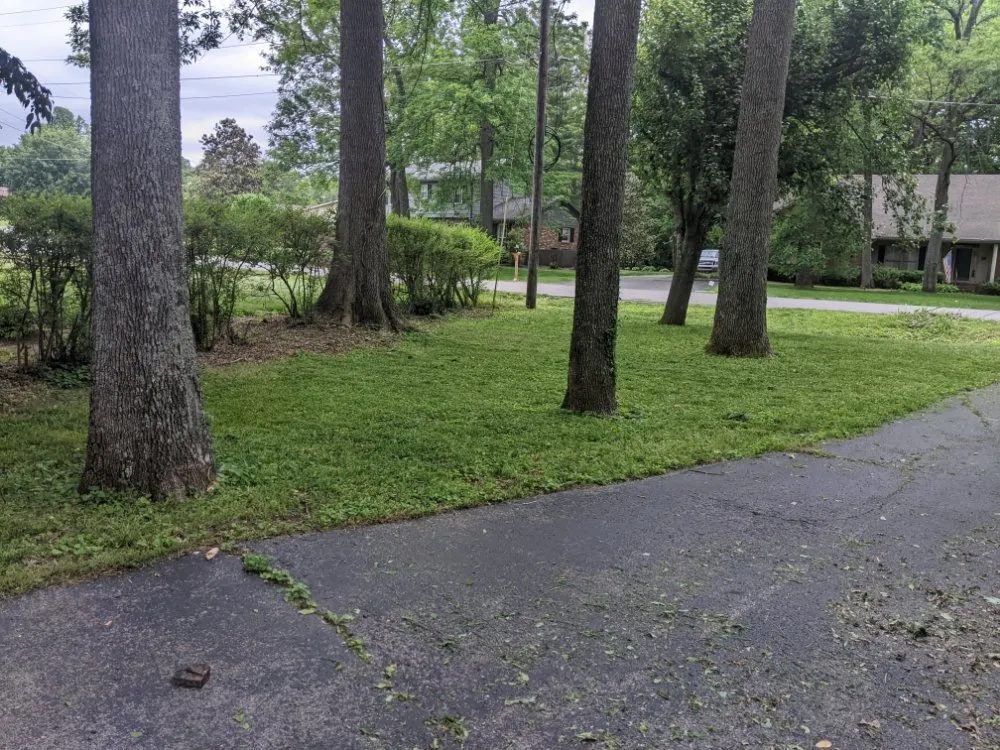 Trusted landscaping services in Hopkinsville, KY by Nikki's Neat and Tidy Homes and Home Improvement