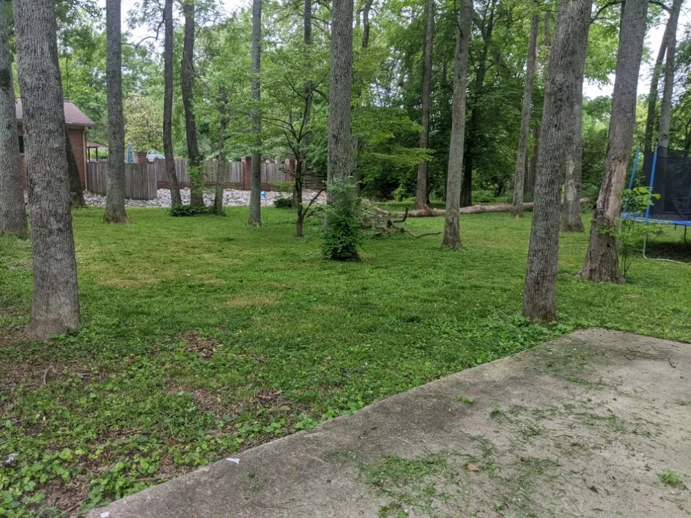 Professional landscape installation experts serving Hopkinsville, KY - Nikki's Neat and Tidy Homes and Home Improvement