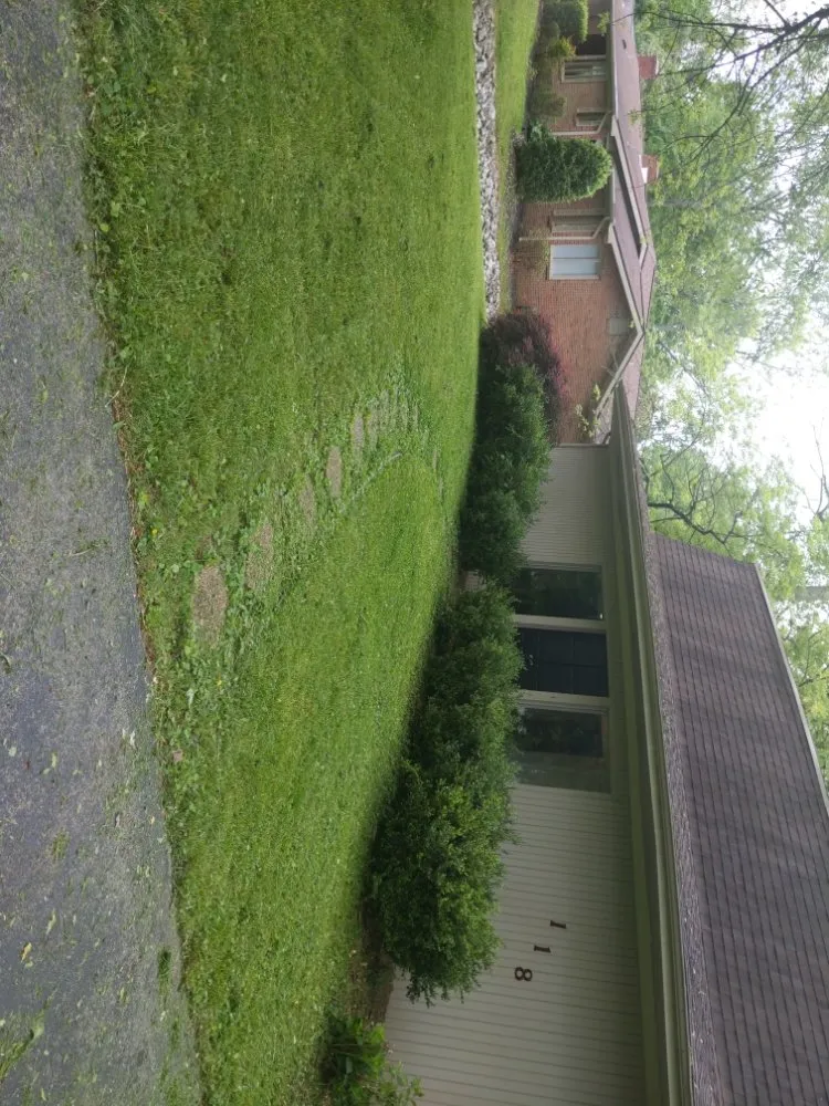 Custom garden landscaping in Hopkinsville, KY - Nikki's Neat and Tidy Homes and Home Improvement