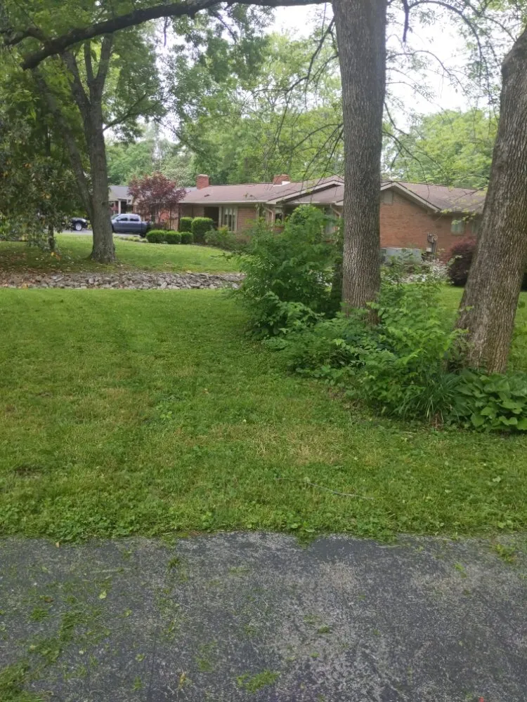 Expert landscaping services for beautiful yards in Hopkinsville, KY by Nikki's Neat and Tidy Homes and Home Improvement