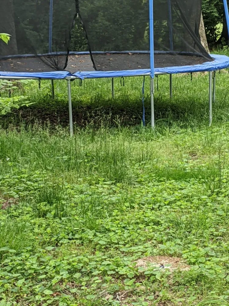 Professional landscaping services near you across Hopkinsville, KY - Nikki's Neat and Tidy Homes and Home Improvement