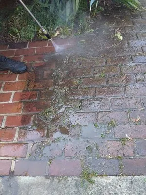 Nikki's Neat and Tidy Homes and Home Improvement Logo